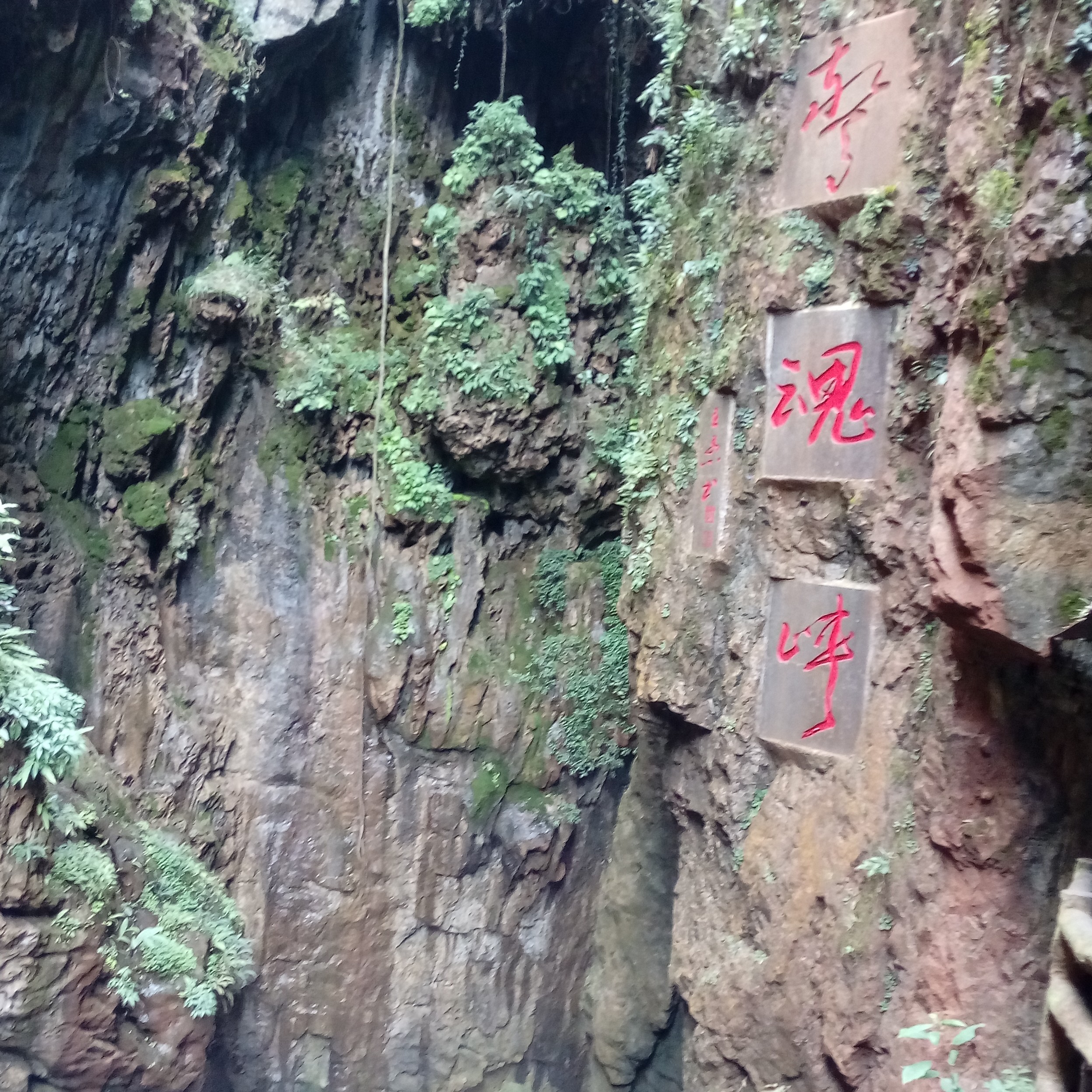 夹江公安(向东)