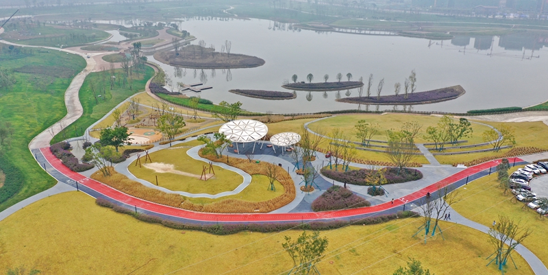 视频眉山天府新区柴桑河生态湿地公园一期对外开放