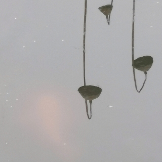 川觀網(wǎng)友ly2add