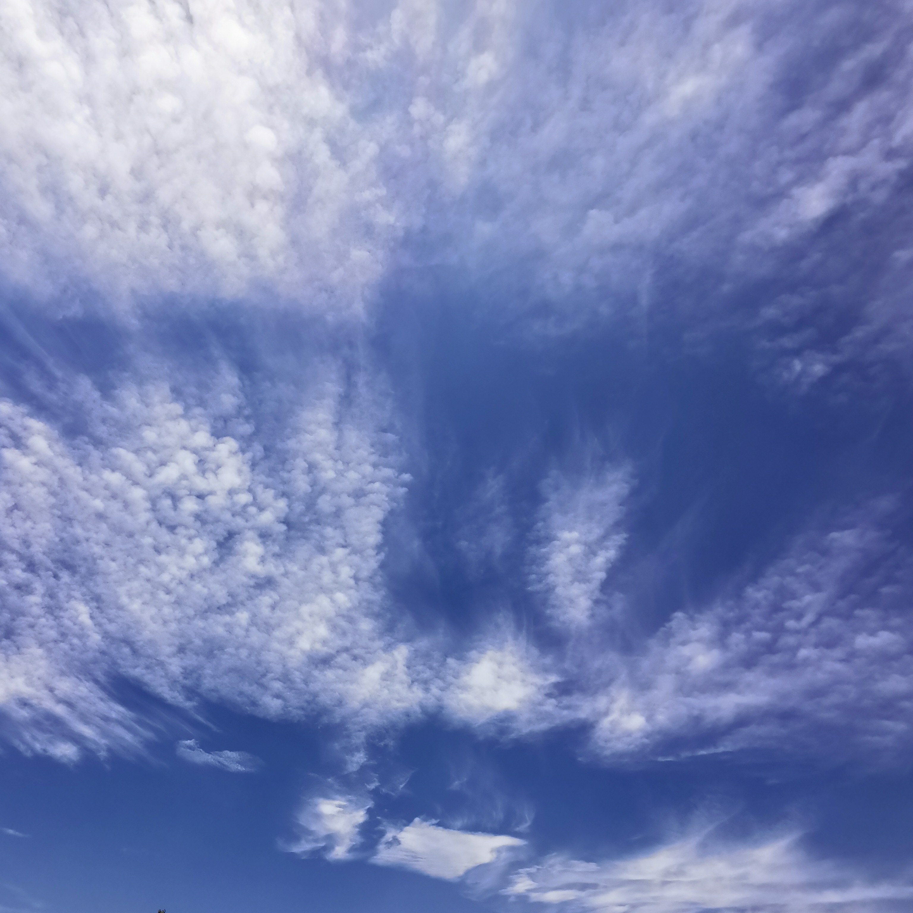 杨柳岸晓风拂月