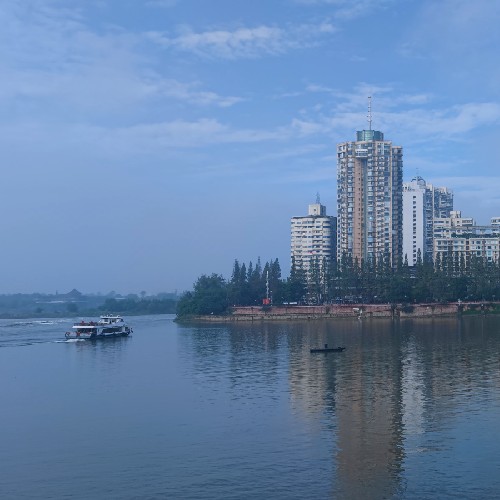 背影一董清