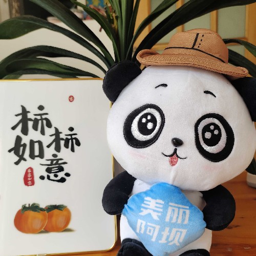 代號野鴿