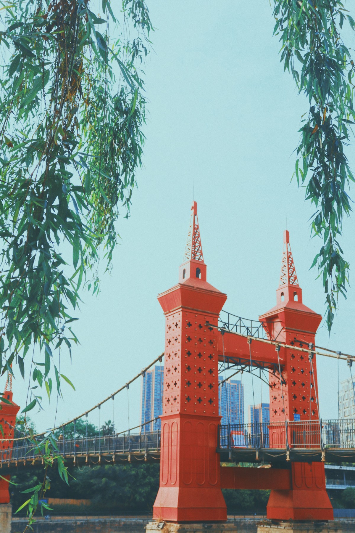 戛纳湾风情廊桥.小铭同学供图