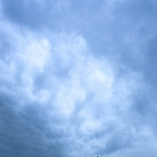 三少要吃陈皮炖土鱼