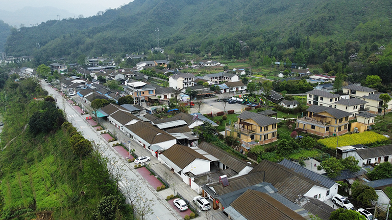 从落地生根到蝶变崛起民宿产业助力德阳绵竹乡村振兴