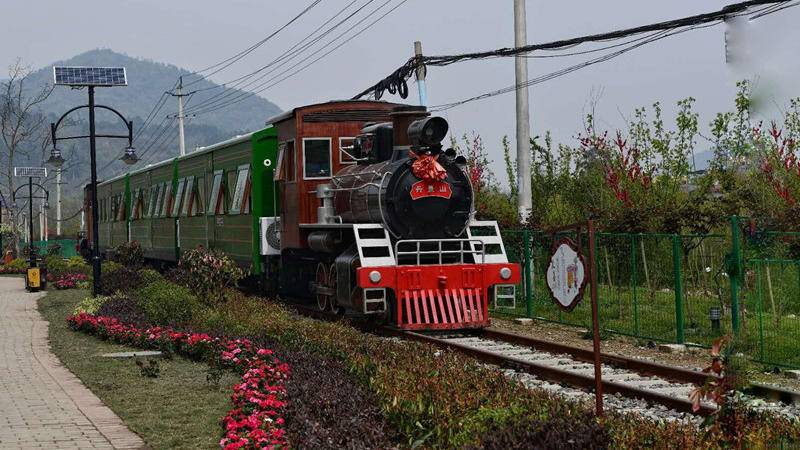 花舞四川 | 彭州:"牡丹号"小火车 开出赏花经济加速度