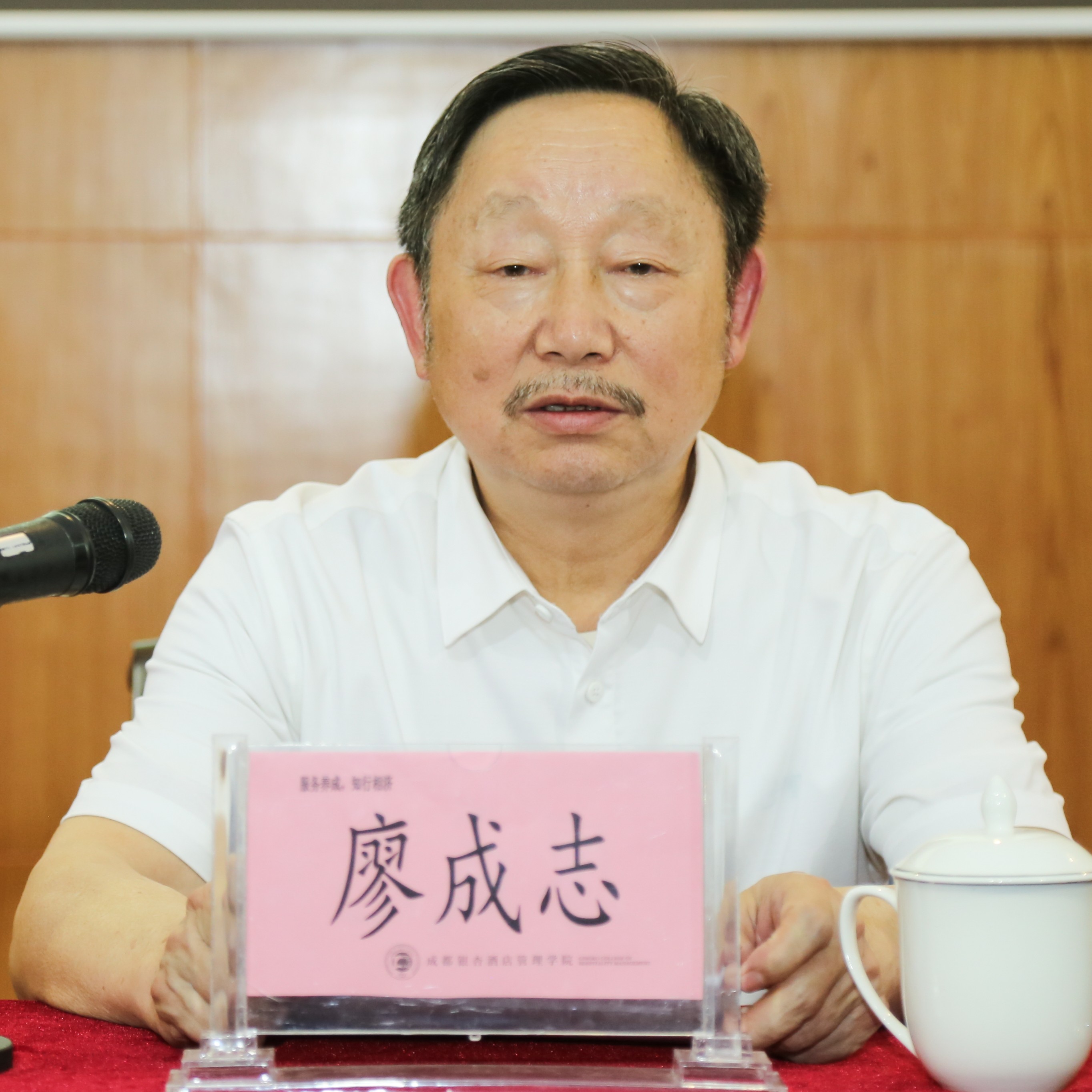 燕子坡廖氏