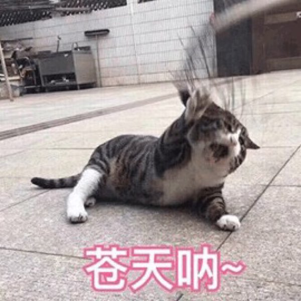 减不下来怎么办