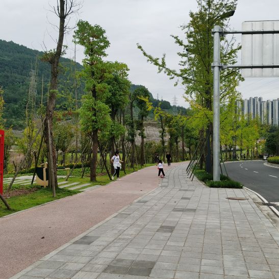 雪山初级中学教师