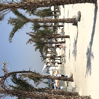 李国林