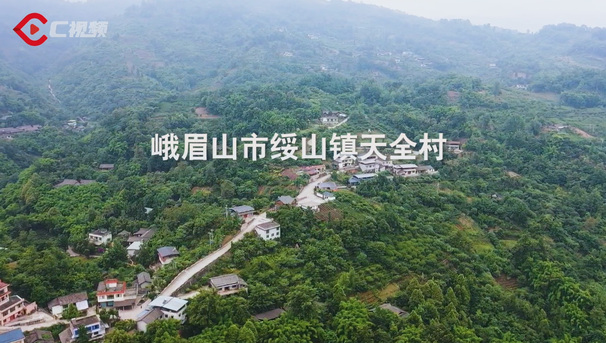 市场观察丨变粽叶为"金叶",四川这个村20余天粽叶产值超两千万元