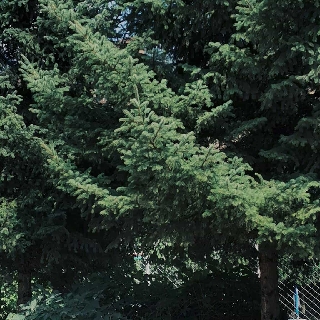 開心快樂??