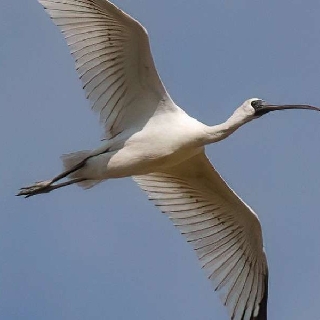 川观网友努力就好