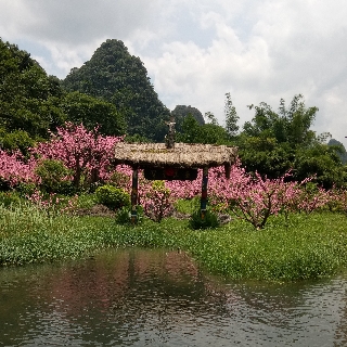 龍霖