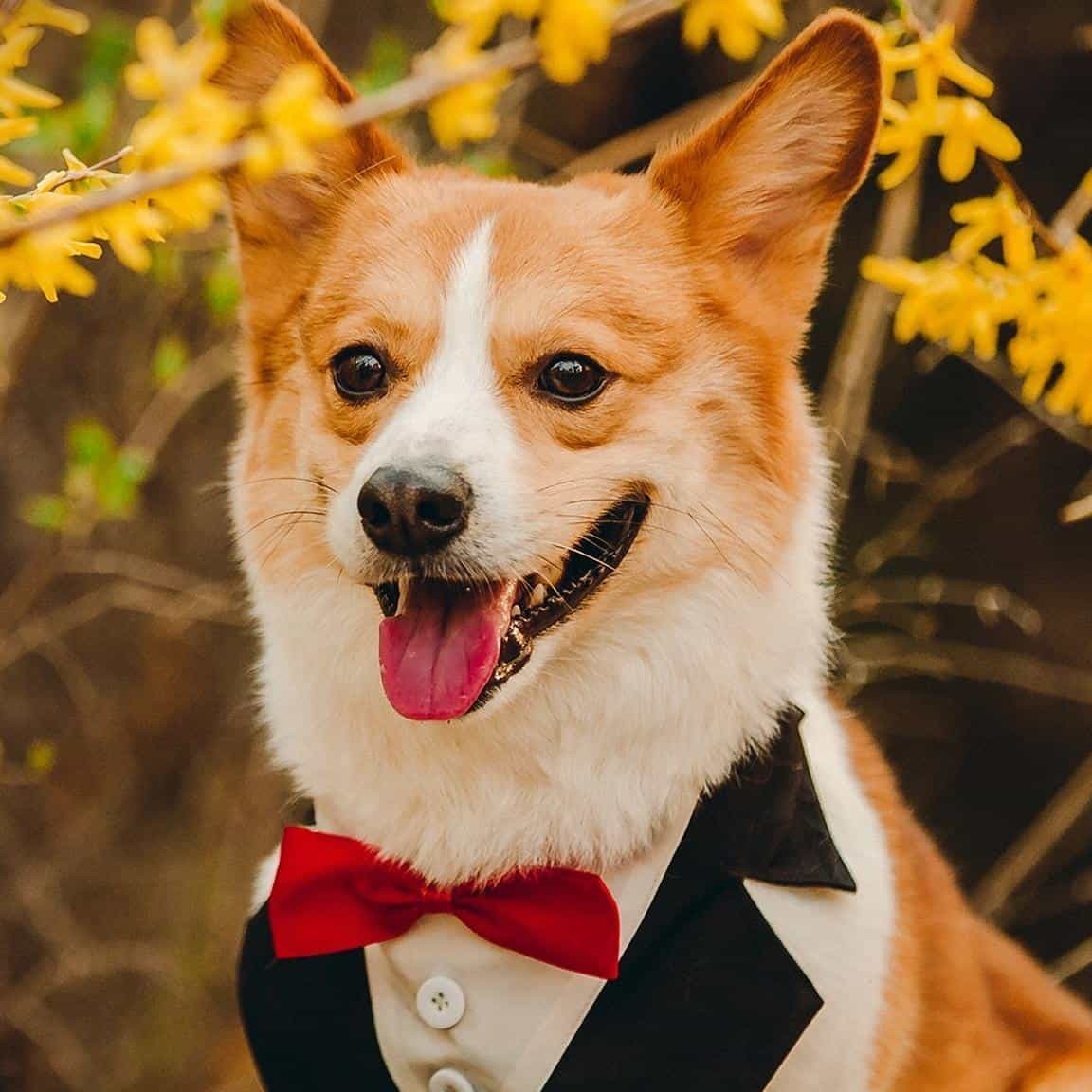 四川宣汉黄金镇中心校