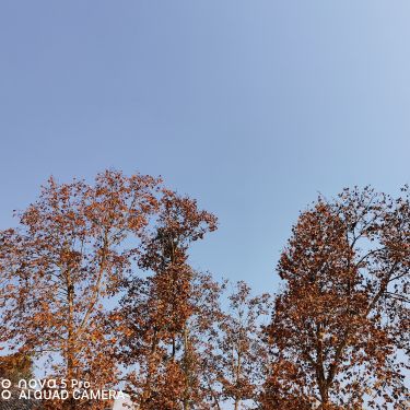 安岳县自规局玉龙