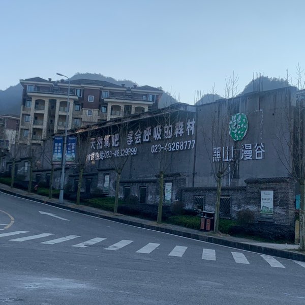 月光照窗臺