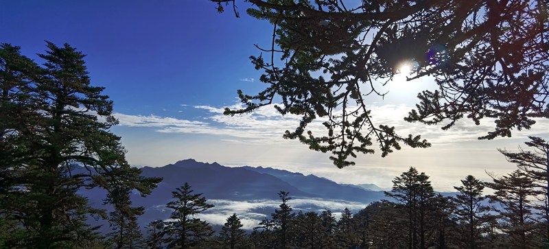 視頻|西嶺雪山進入最佳觀賞期 鏡頭聚焦海拔3250米的壯美奇景 - 川觀