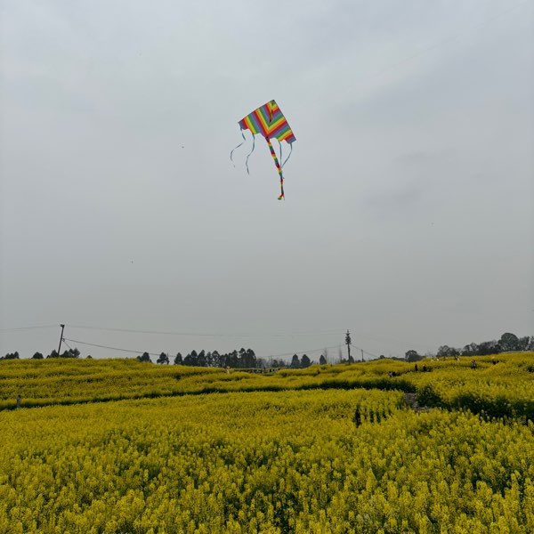 煙塵四起