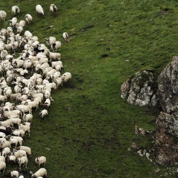 冕宁县人民检察院