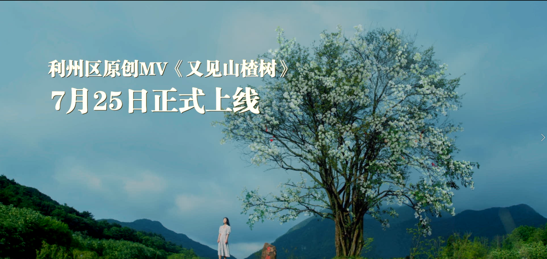 山楂树苗怎么种植技术图解