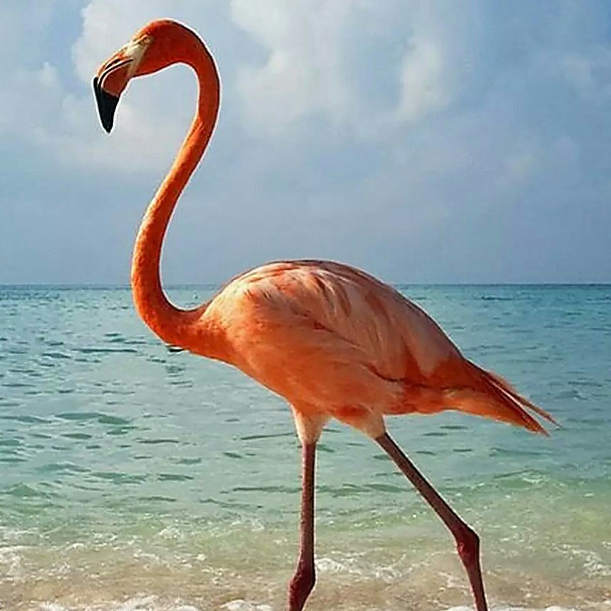 威远县税务局廖永胜