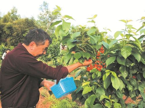 【农门阵】博士夫妇下乡种果 这个农场有点书卷气