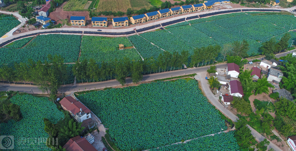 近年來,丹山鎮加快推進新農村綜合體及新村建設,深入實施農村環境綜合