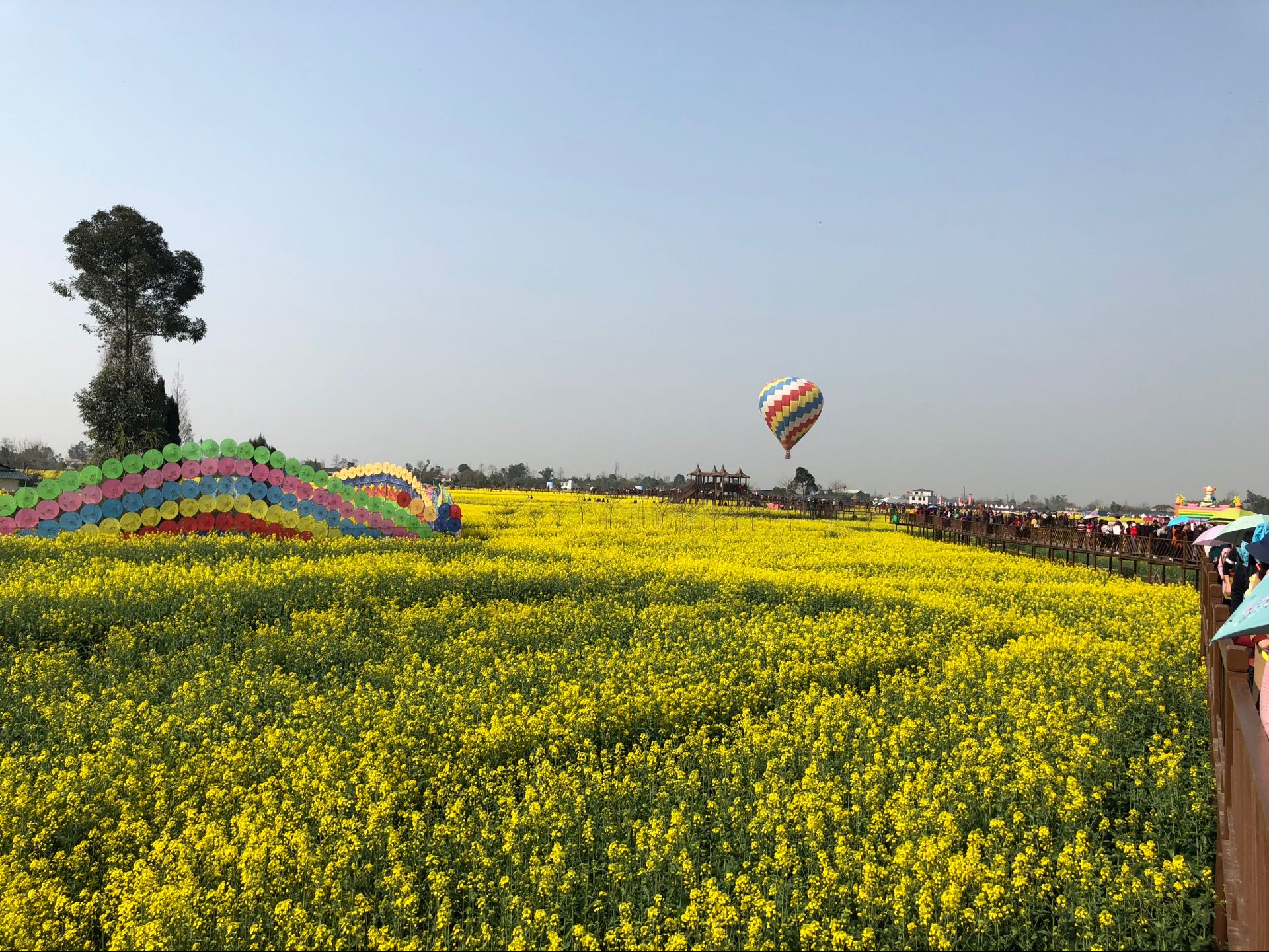 2018广汉油菜花季启幕,四川20家油菜花精品景区首次发布