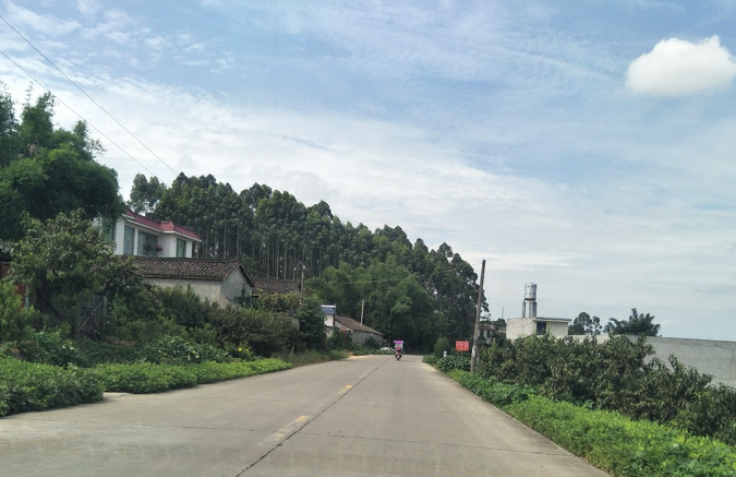 东坡区万胜镇入围拟命名国家卫生乡镇