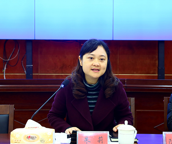 大安区委常委,组织部长朱莉作情况介绍