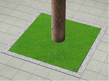 植物材料绿化树池