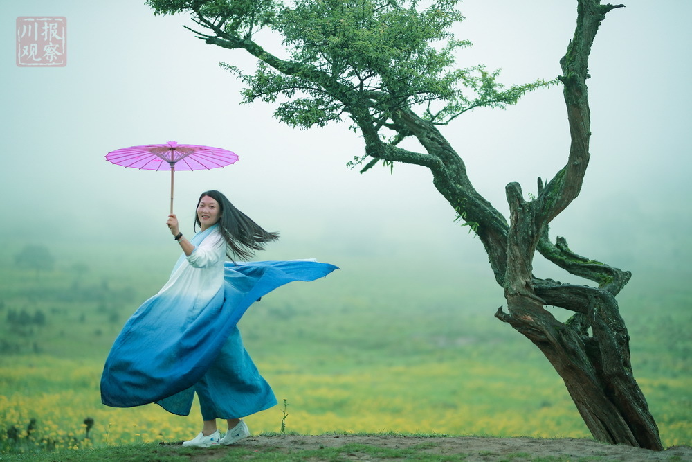 草甸,天空中飞洒着纷纷细雨,邱邱山峦隐没于蒙蒙云雾中…放眼望去