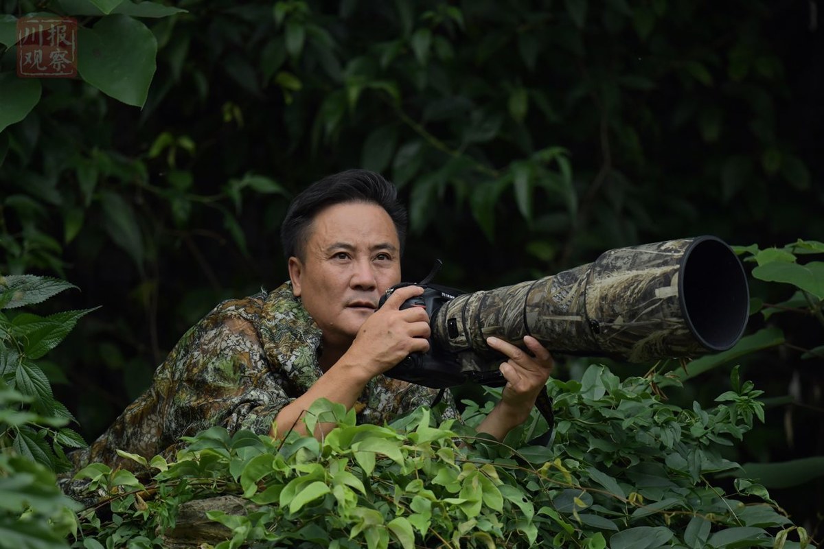 艾雅康:"鸟王"的情怀与坚守