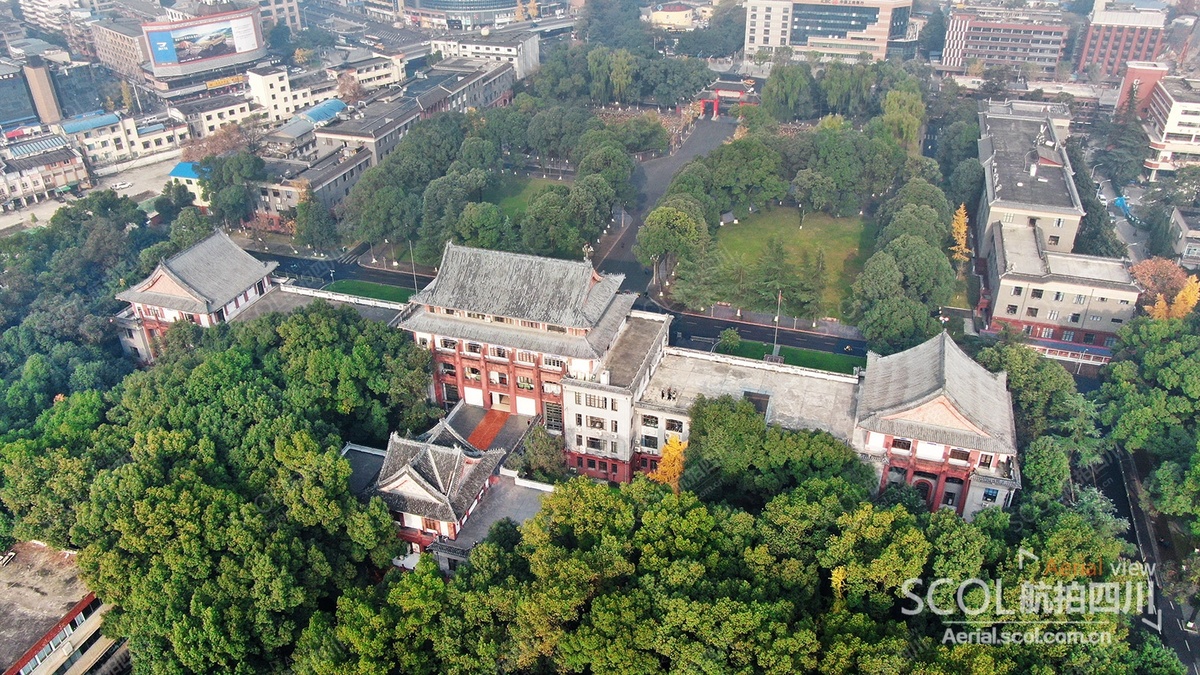 炫酷航拍视频带你瞰金色校园!川大望江校区最美银杏来袭!|川观新闻