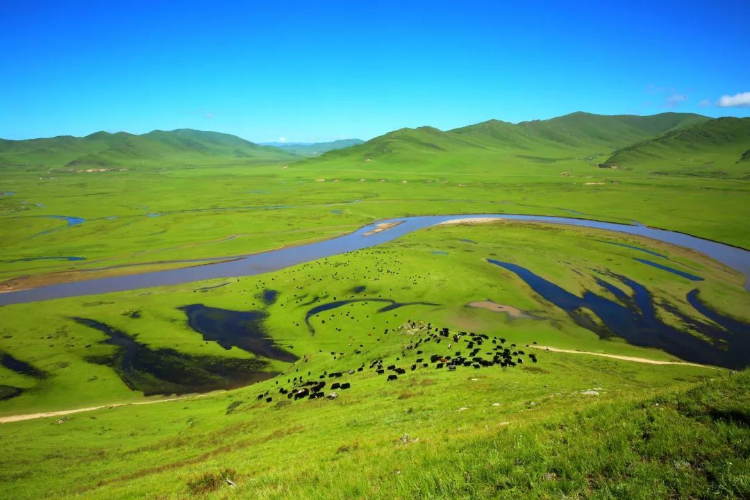 问计高质量发展70疫情对脱贫攻坚的冲击东西部如何携手克服