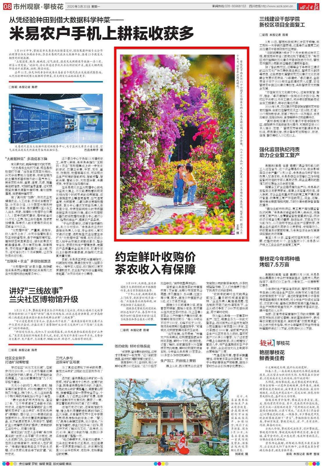 川报镜头 走进全国最大三角梅主题公园 感受多彩春天 川观新闻 川报镜头 走进全国最大三角梅主题公园 感受多彩春天 川观新闻