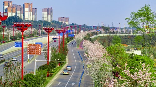 岷江新城图片