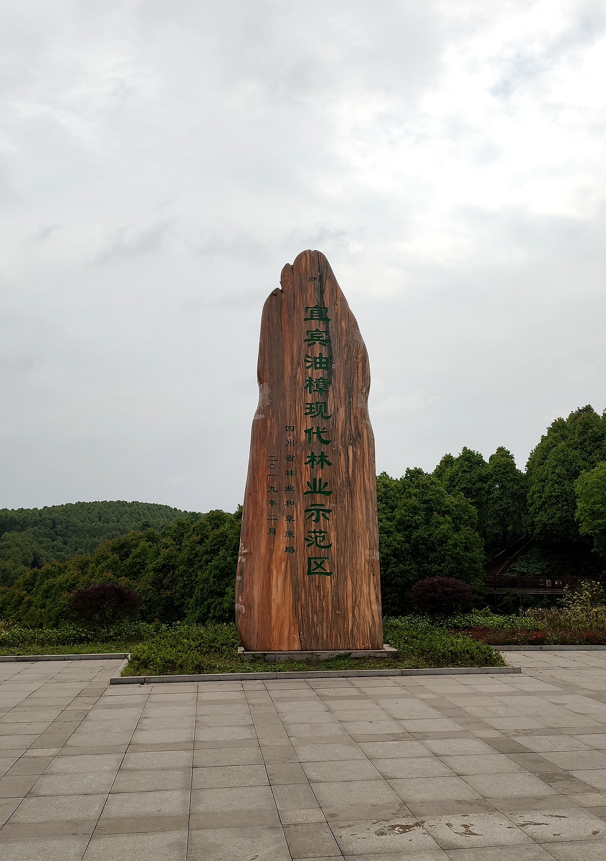 宜宾叙州区樟海镇三合一合出油樟产业发展新优势