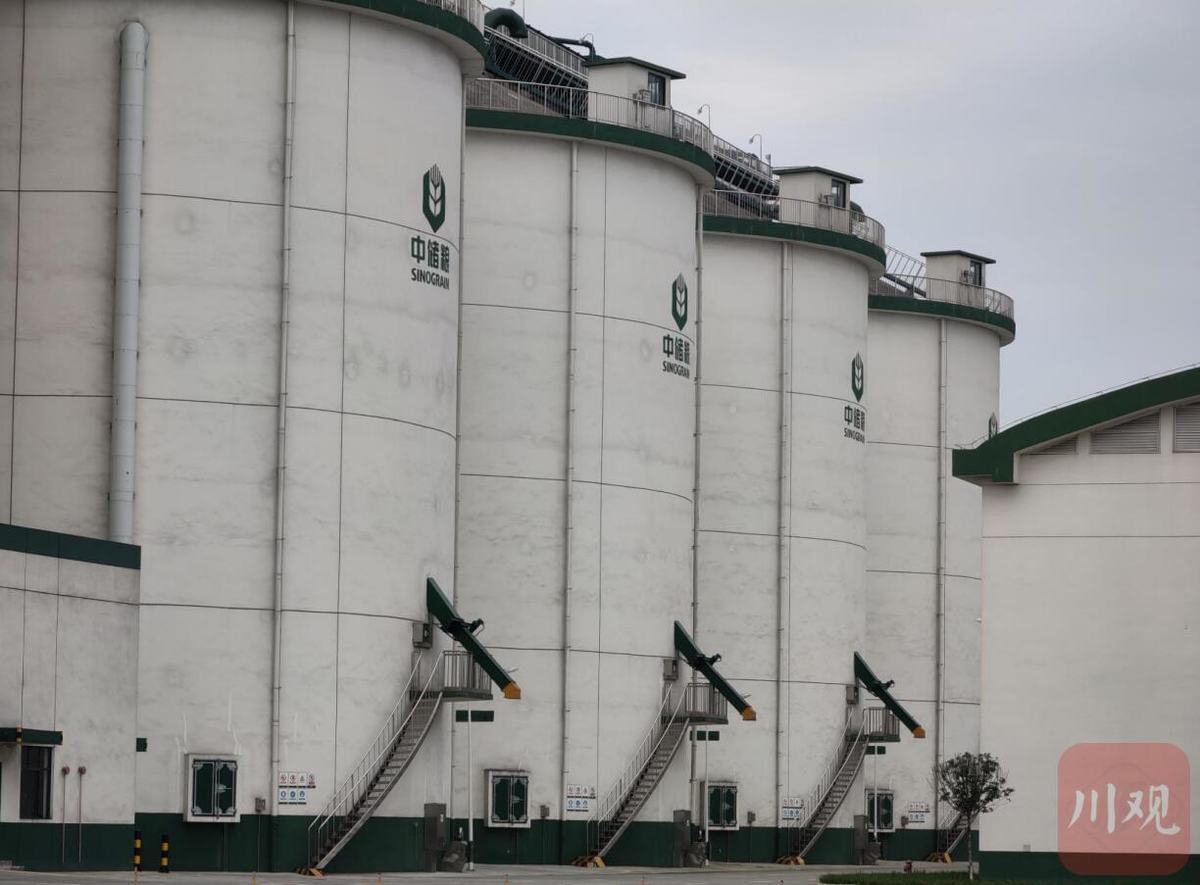 "大国粮仓"中储粮仓库中的麦子,为何开着灯睡觉?