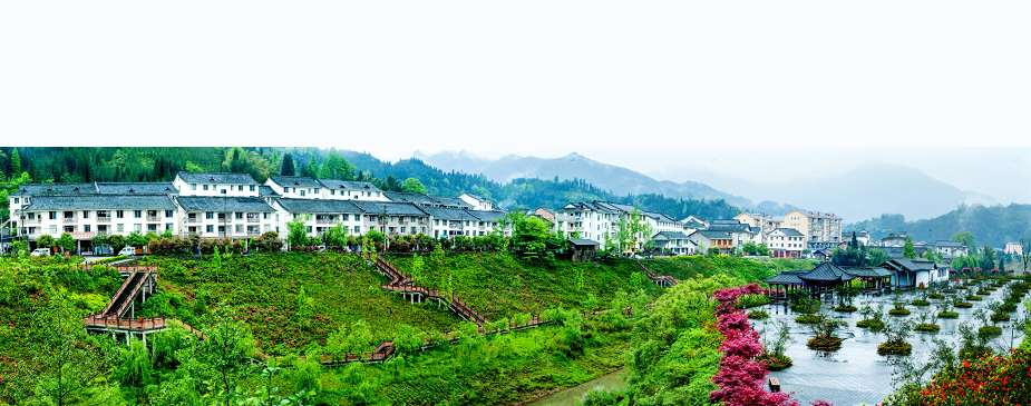 四川洪雅改善农村人居环境绘就美丽乡村画卷