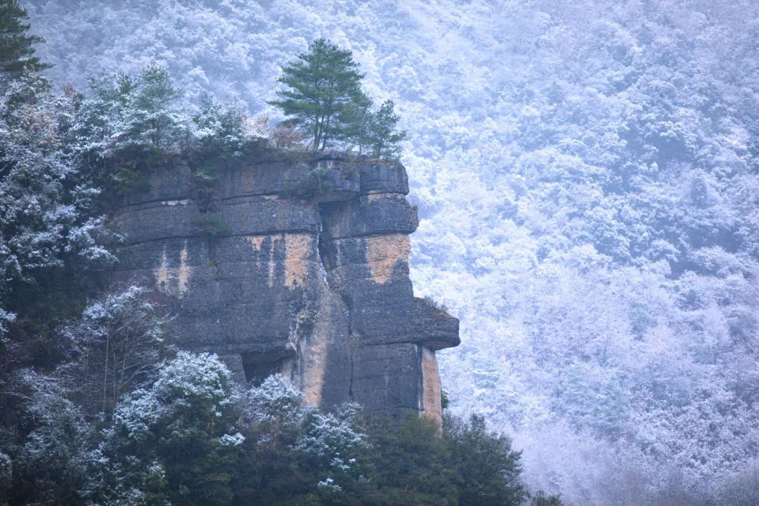 高清大图江山如此多娇米仓山大峡谷大美雪景上新