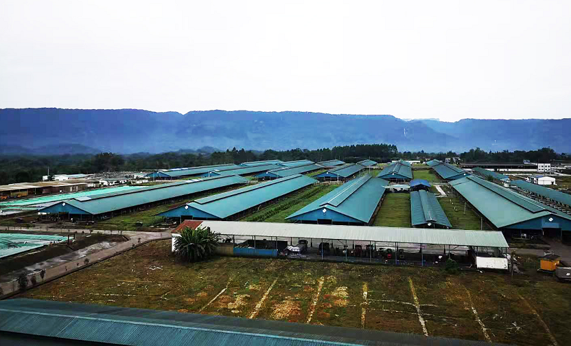 践行两山论从现代牧场看洪雅农业绿色发展