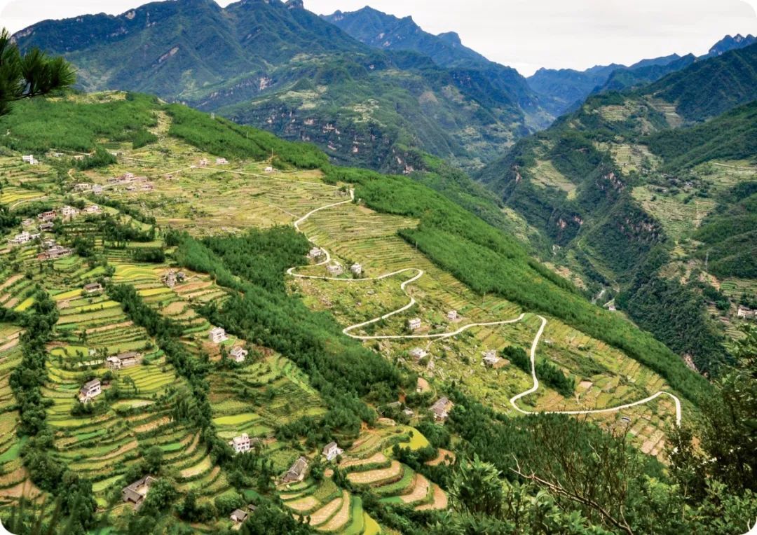 决战决胜脱贫攻坚部门乡镇高阳镇守初心担使命力促脱贫攻坚与乡村振兴