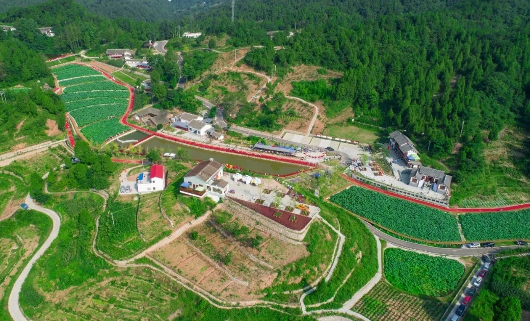 决战决胜脱贫攻坚部门乡镇篇之白水镇