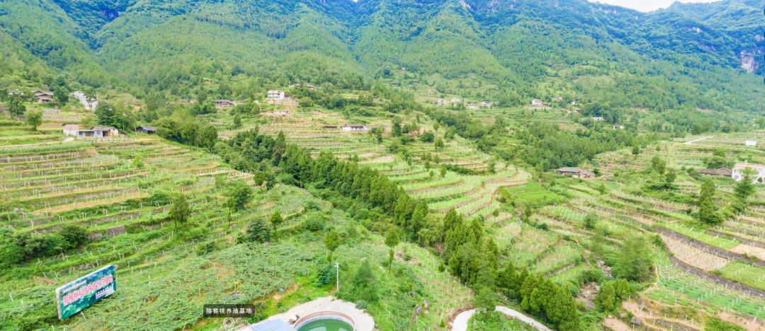 旺苍县高阳镇人民政府 2020-12-02 17:53 高阳镇地处旺苍县北部汕区