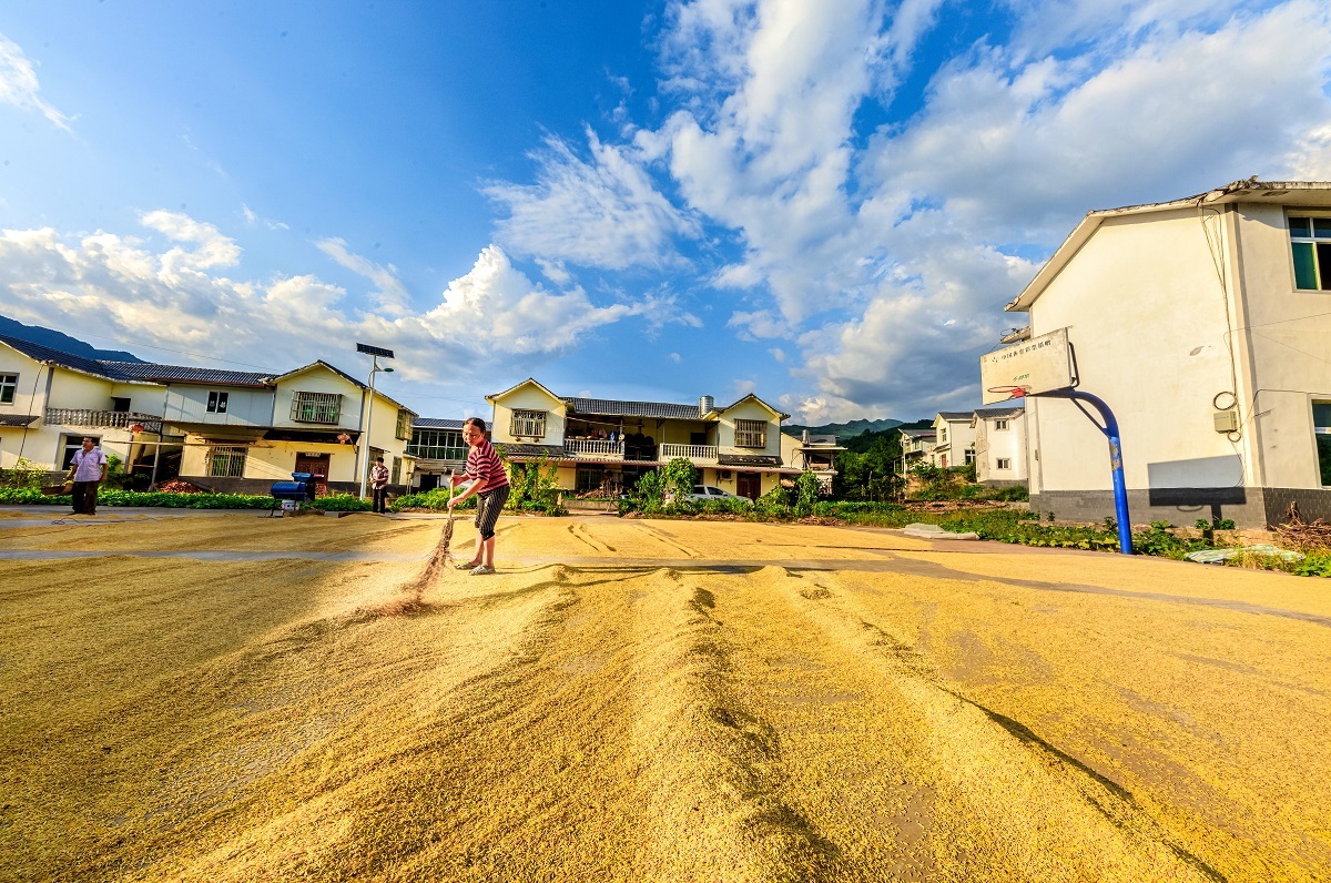 部2020年9月7日,在四川省巴中市通江县板桥口镇城子山村新村聚居点