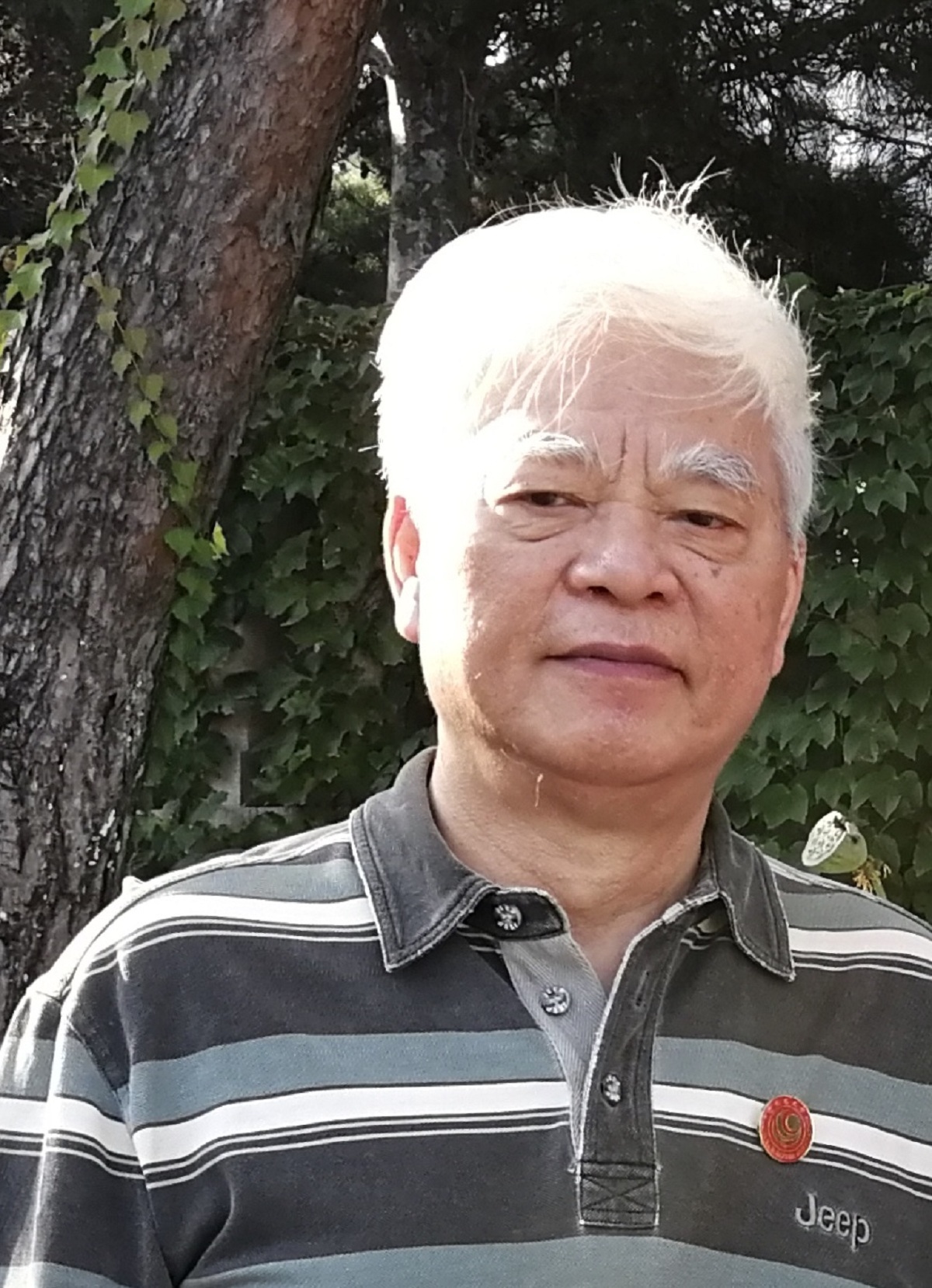 自贡文苑(一)丨名家写自贡丨 张新泉诗作三首