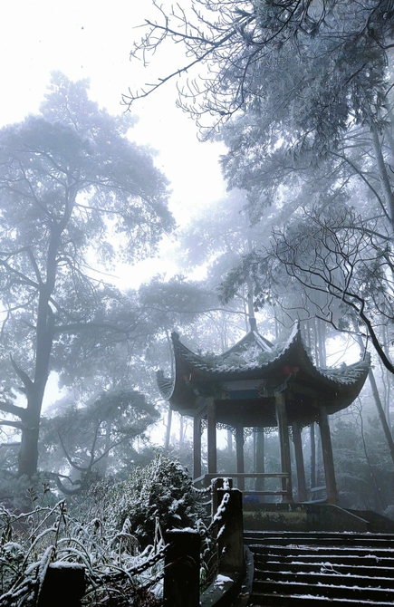 听,雪落下的声音 南充普降今冬第一场雪