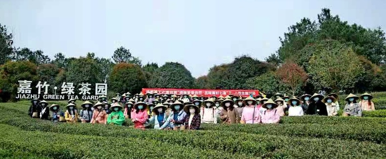 雷火竞技app学习茶艺文化感受茶道魅力她们这样欢庆“三八”妇女节(图3)